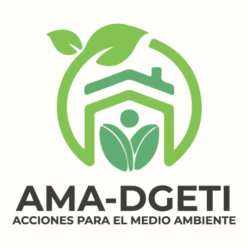 Ama DGETI